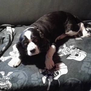 Meet your Posher, Loisann